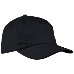 6 Panel Carbon Cap - BARRON|USBANDMORE