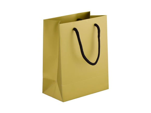 230gsm Matte Gift Bag - 23cm|usbandmore