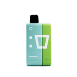 ELF Rechargeable Pod Kit Miami Mint Wicket Import